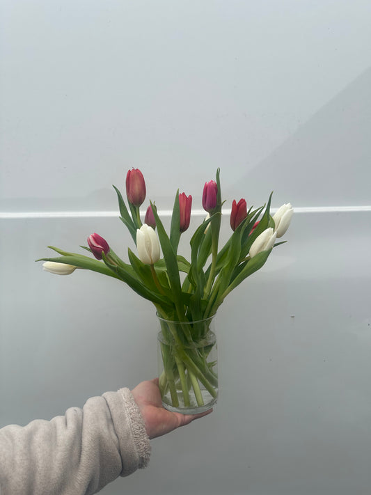 Dozen Tulips